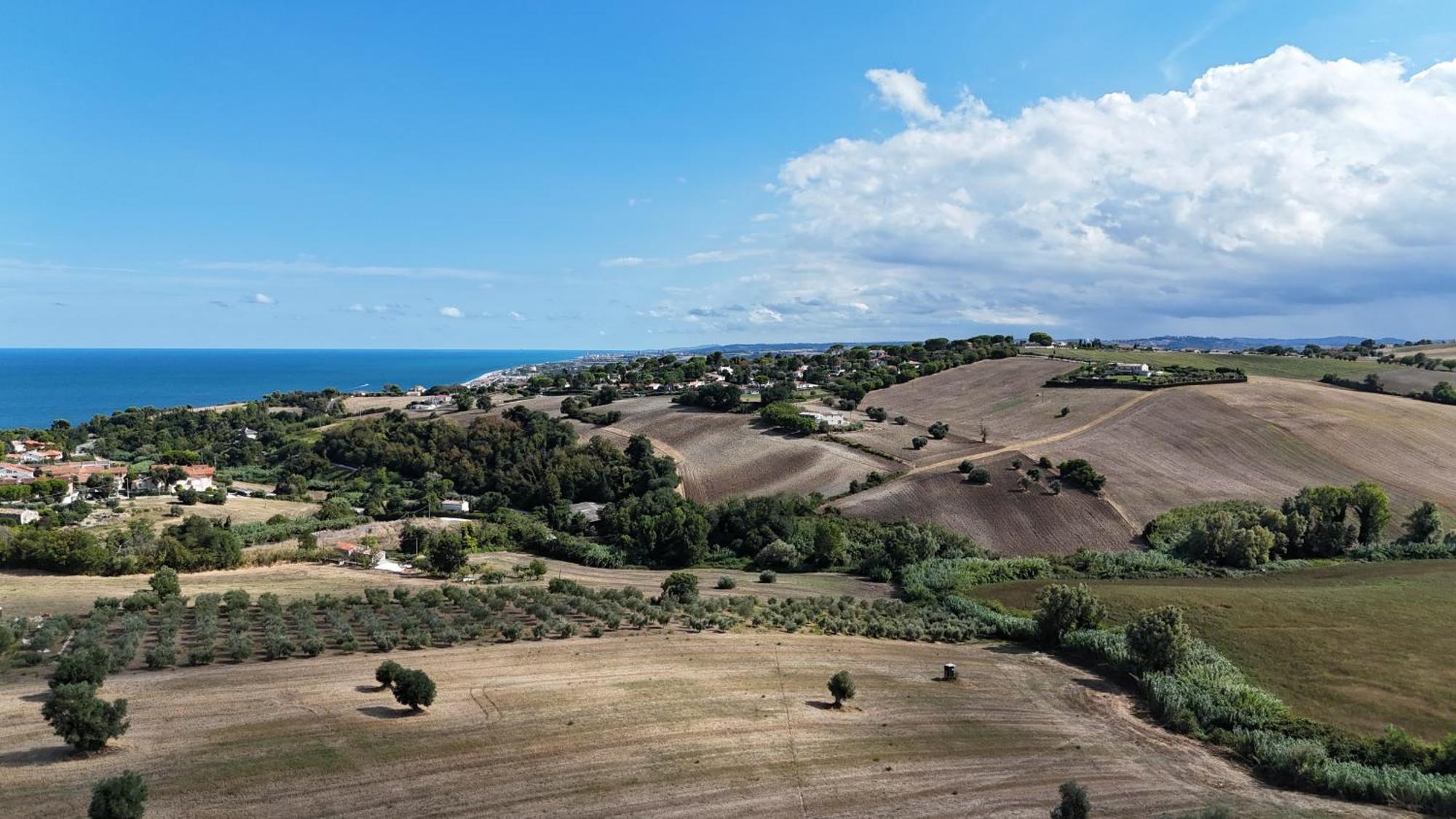 S214 - Sirolo, Trilocale Con Giardino In Zona Tranquilla公寓 外观 照片