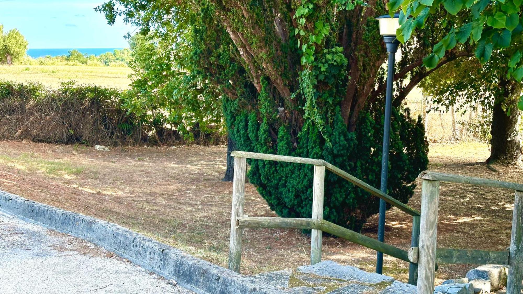 S214 - Sirolo, Trilocale Con Giardino In Zona Tranquilla公寓 外观 照片